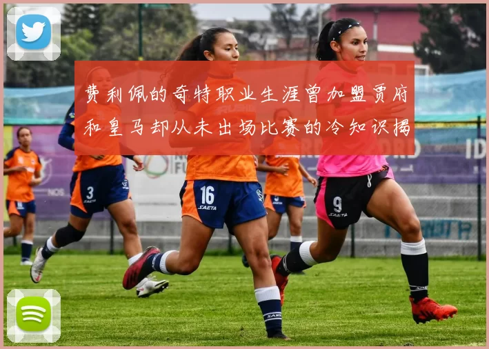 费利佩的奇特职业生涯曾加盟贾府和皇马却从未出场比赛的冷知识揭秘