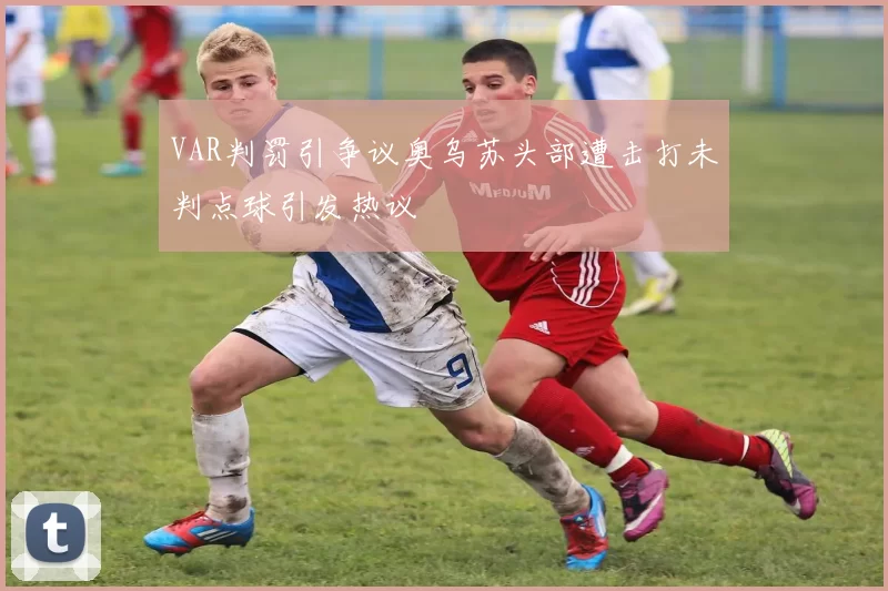 VAR判罚引争议奥乌苏头部遭击打未判点球引发热议